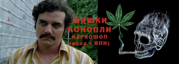 ECSTASY Ельня