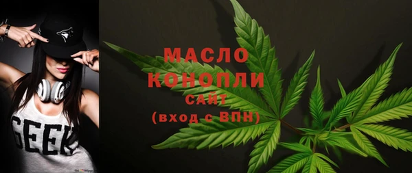 ECSTASY Ельня