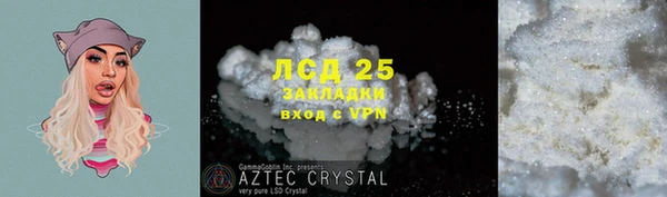 ECSTASY Ельня