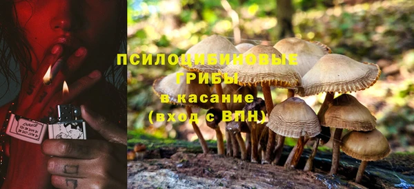 ECSTASY Ельня