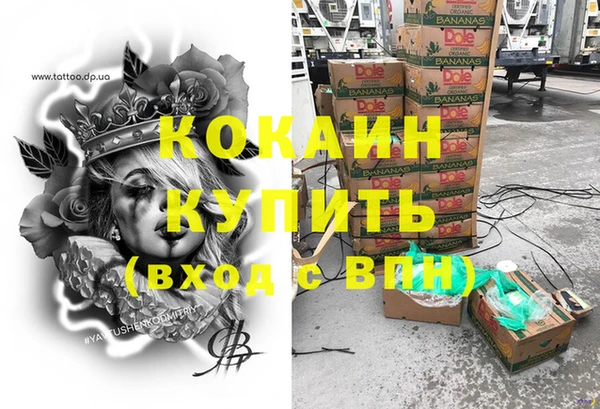 ECSTASY Ельня