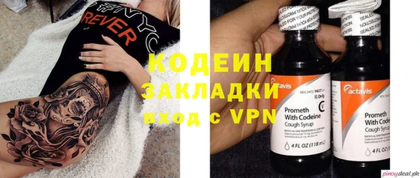 ECSTASY Ельня